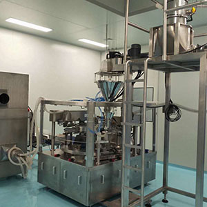 給袋式粉劑包裝機(jī)視頻